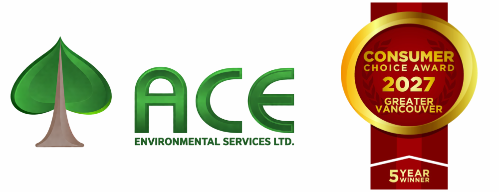 Award winning company