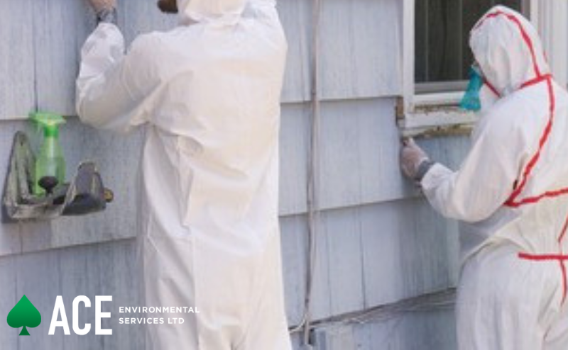 WHERE IS ASBESTOS FOUND IN YOUR HOME